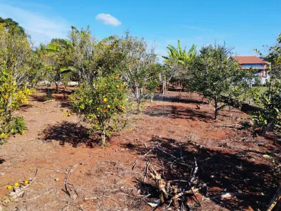 Fazenda / Sítio / Chácara com 2 Quartos à venda, 236m² no , Pilar do Sul