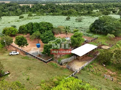 Fazenda / Sítio / Chácara com 2 Quartos à venda, 500m² no Setor Central, Gurupi
