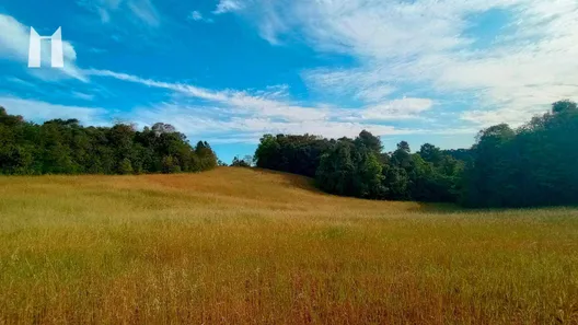 Terreno / Lote / Condomínio à venda, 96800m² no Rondinha, Campo Largo