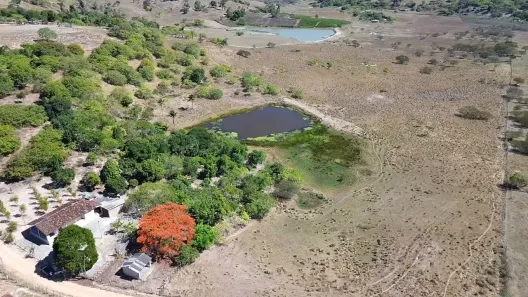 Fazenda / Sítio / Chácara com 2 Quartos à venda, 90000m² no , Sairé