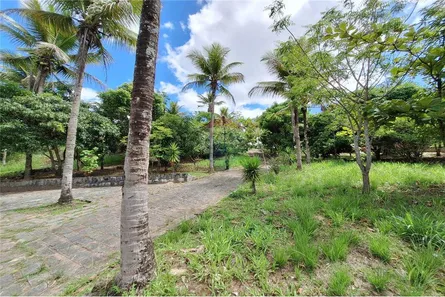 Fazenda / Sítio / Chácara com 4 Quartos à venda, 37358m² no Terra Vermelha, Agrestina