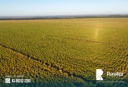 Fazenda / Sítio / Chácara à venda, 304m² no , Guaraí