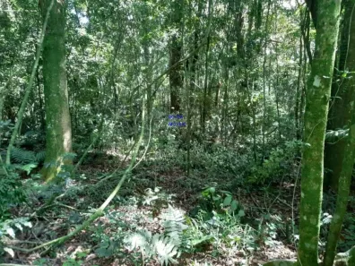 Fazenda / Sítio / Chácara com 1 Quarto à venda, 7000m² no , Contenda