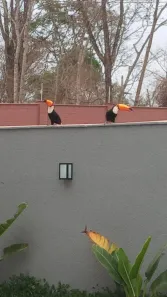 Casa de Condomínio com 4 Quartos à venda, 265m² no Jardins Capri, Senador Canedo