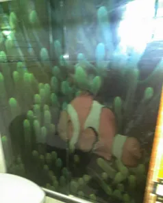Sobrado com 3 Quartos à venda, 120m² no Araruama, Araruama