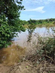 Terreno / Lote / Condomínio com 1 Quarto à venda, 500m² no , Paranã