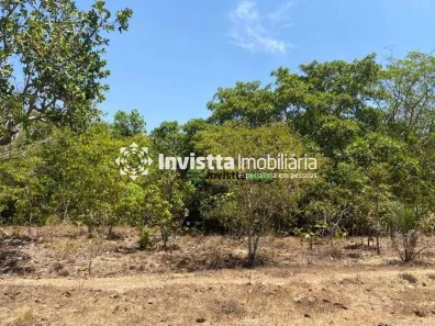 Fazenda / Sítio / Chácara à venda, 242m² no Centro, Pium