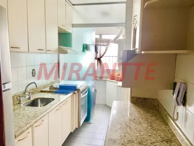 Apartamento com 3 Quartos à venda, 66m² no Vila Albertina, São Paulo