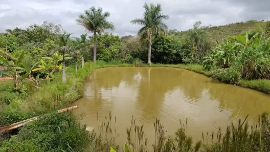 Fazenda / Sítio / Chácara com 4 Quartos à venda, 20000m² no Ponte Alta Norte, Brasília
