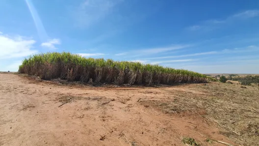 Fazenda / Sítio / Chácara à venda, 72600m² no Área Rural de Águas de São Pedro, Águas de São Pedro