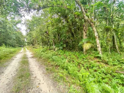 Terreno / Lote / Condomínio à venda, 5000m² no Jardim Ouro Fino, Paranaguá
