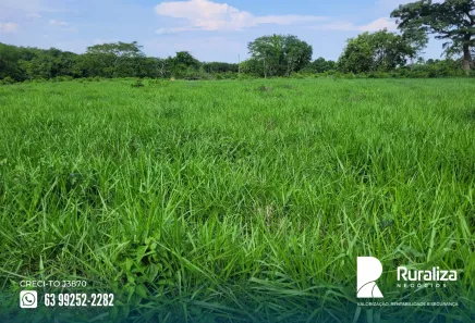 Fazenda / Sítio / Chácara à venda, 150m² no , Paraíso do Tocantins