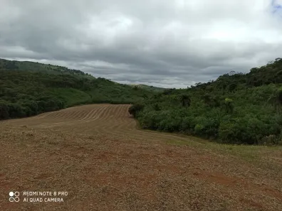 Fazenda / Sítio / Chácara à venda, 95465m² no Morro Azul, Almirante Tamandaré