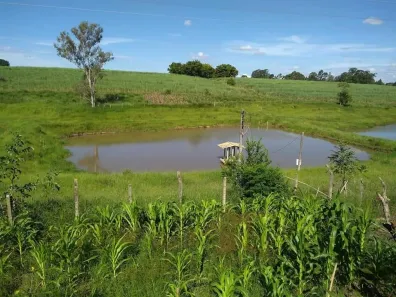 Fazenda / Sítio / Chácara à venda, 205700m² no Área Rural de Capivari, Capivari