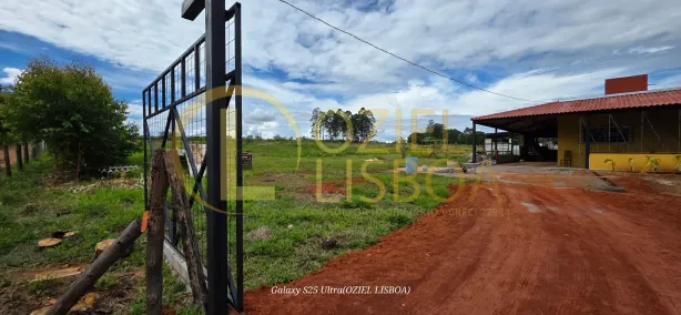 Fazenda / Sítio / Chácara com 3 Quartos à venda, 20000m² no Brazlândia, Brasília