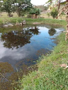Fazenda / Sítio / Chácara com 2 Quartos à venda, 150m² no Gravatá Centro, Gravatá