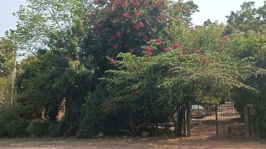 Casa com 3 Quartos à venda, 100m² no Setor de Mansões do Lago Norte, Brasília