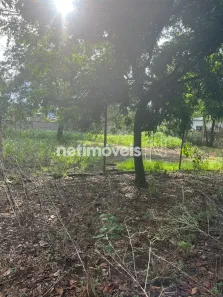 Terreno / Lote Comercial à venda, 2000m² no Centro, São José da Lapa