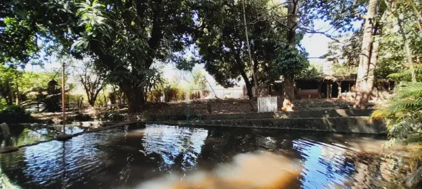 Fazenda / Sítio / Chácara com 7 Quartos para alugar, 757m² no City Ribeirão, Ribeirão Preto