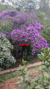 Fazenda / Sítio / Chácara com 1 Quarto à venda, 90m² no , Igaratá