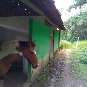 Terreno / Lote / Condomínio à venda, 5671m² no Aldeia dos Camarás, Camaragibe