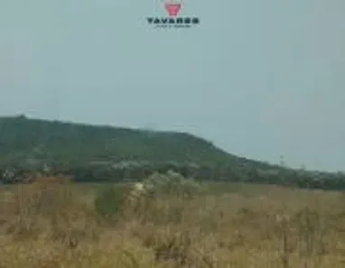Terreno / Lote / Condomínio à venda, 20000m² no , Caeté