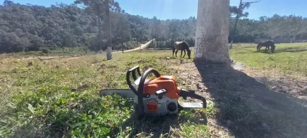 Fazenda / Sítio / Chácara com 3 Quartos à venda, 250m² no Rio Branco do Sul, Rio Branco do Sul