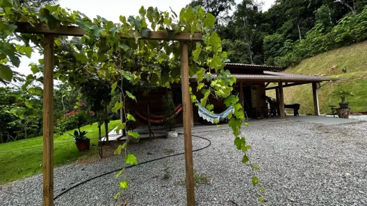 Fazenda / Sítio / Chácara com 2 Quartos à venda, 7000m² no Centro, Águas Mornas
