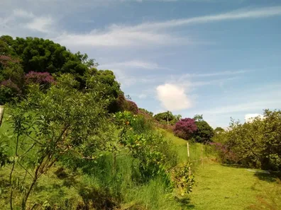 Fazenda / Sítio / Chácara com 1 Quarto à venda, 120000m² no , Antonina