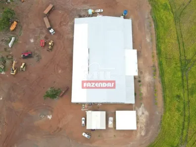 Fazenda / Sítio / Chácara à venda, 55000000m² no , Pedro Afonso