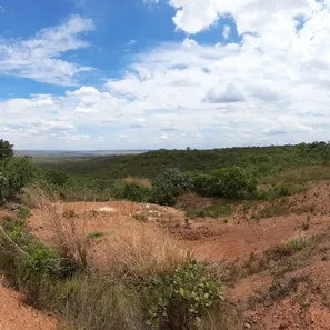 Fazenda / Sítio / Chácara à venda, 22500m² no , Brasília