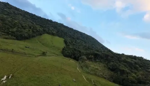 Fazenda / Sítio / Chácara à venda, 121000m² no Centro, Massaranduba