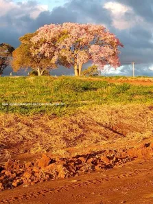 Terreno / Lote / Condomínio à venda, 1000m² no , Joanópolis