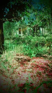 Fazenda / Sítio / Chácara com 1 Quarto à venda, 6000m² no Pitangas, Tanguá
