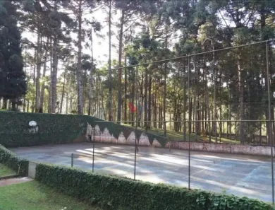 Fazenda / Sítio / Chácara à venda, 4000m² no Pacotuba, Almirante Tamandaré