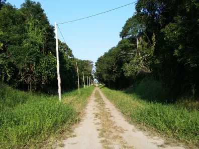 Terreno / Lote / Condomínio à venda, 5000m² no Praia do Ervino, São Francisco do Sul