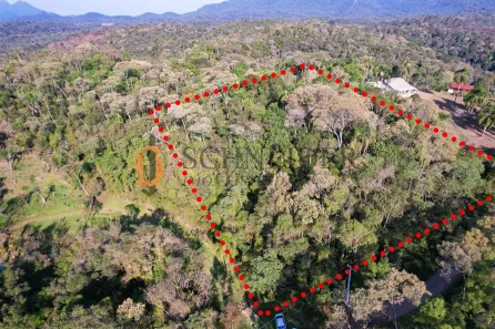 Fazenda / Sítio / Chácara à venda, 10800m² no Quatro Barras, Quatro Barras