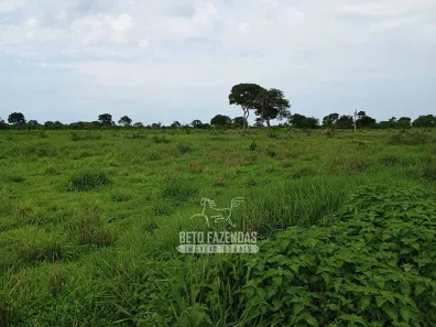 Fazenda / Sítio / Chácara à venda, 76850000m² no , Formoso do Araguaia