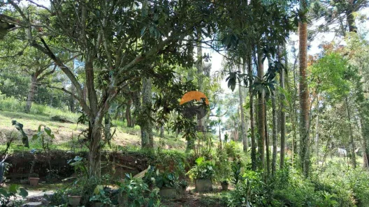 Terreno / Lote / Condomínio à venda, 23513m² no Centro (Caucaia do Alto), Cotia