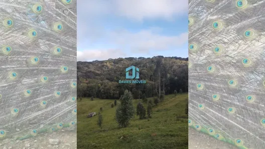Fazenda / Sítio / Chácara à venda, 37100m² no Mandasaia, Campina Grande do Sul