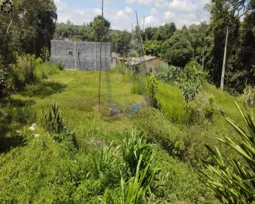 Fazenda / Sítio / Chácara com 2 Quartos à venda, 3850m² no Ibiúna, Ibiúna