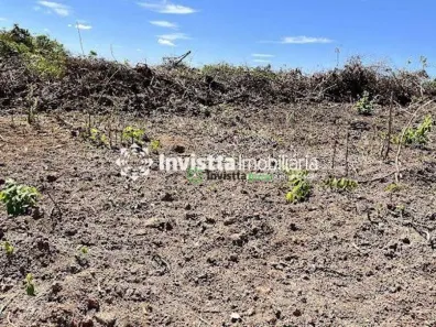 Fazenda / Sítio / Chácara com 1 Quarto à venda, 900m² no Centro, Pium