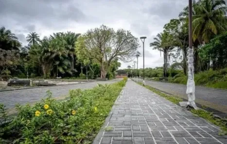 Terreno / Lote / Condomínio à venda, 1198m² no Catu de Abrantes (Abrantes), Camaçari