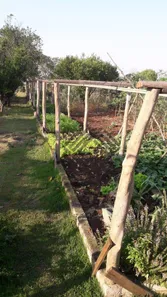 Fazenda / Sítio / Chácara com 3 Quartos à venda, 1750m² no Jundiaquara, Araçoiaba da Serra