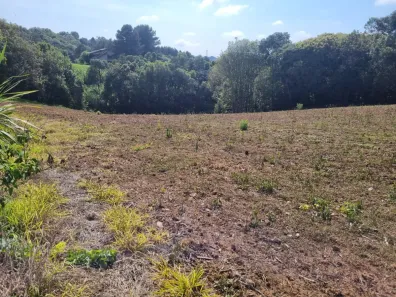 Terreno / Lote / Condomínio à venda, 60617m² no Cecilia, Campo Magro