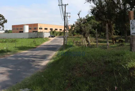 Terreno / Lote / Condomínio para venda ou aluguel, 2100m² no Colônia Rio Grande, São José dos Pinhais