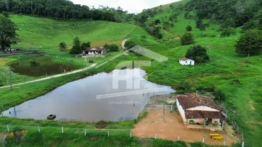 Fazenda / Sítio / Chácara à venda, 451900m² no , Canhotinho