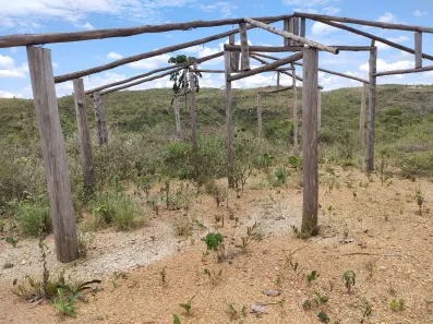 Fazenda / Sítio / Chácara à venda, 12000m² no Conjunto Habitacional Conceição Gomes Rabelo, Santo Antônio do Descoberto