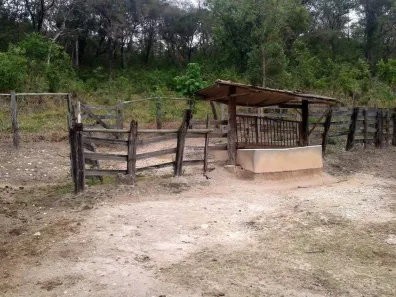 Fazenda / Sítio / Chácara com 3 Quartos à venda, 250m² no Bom Destino, Santa Luzia