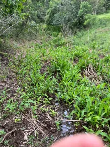 Terreno / Lote / Condomínio à venda, 53000m² no , Joanópolis